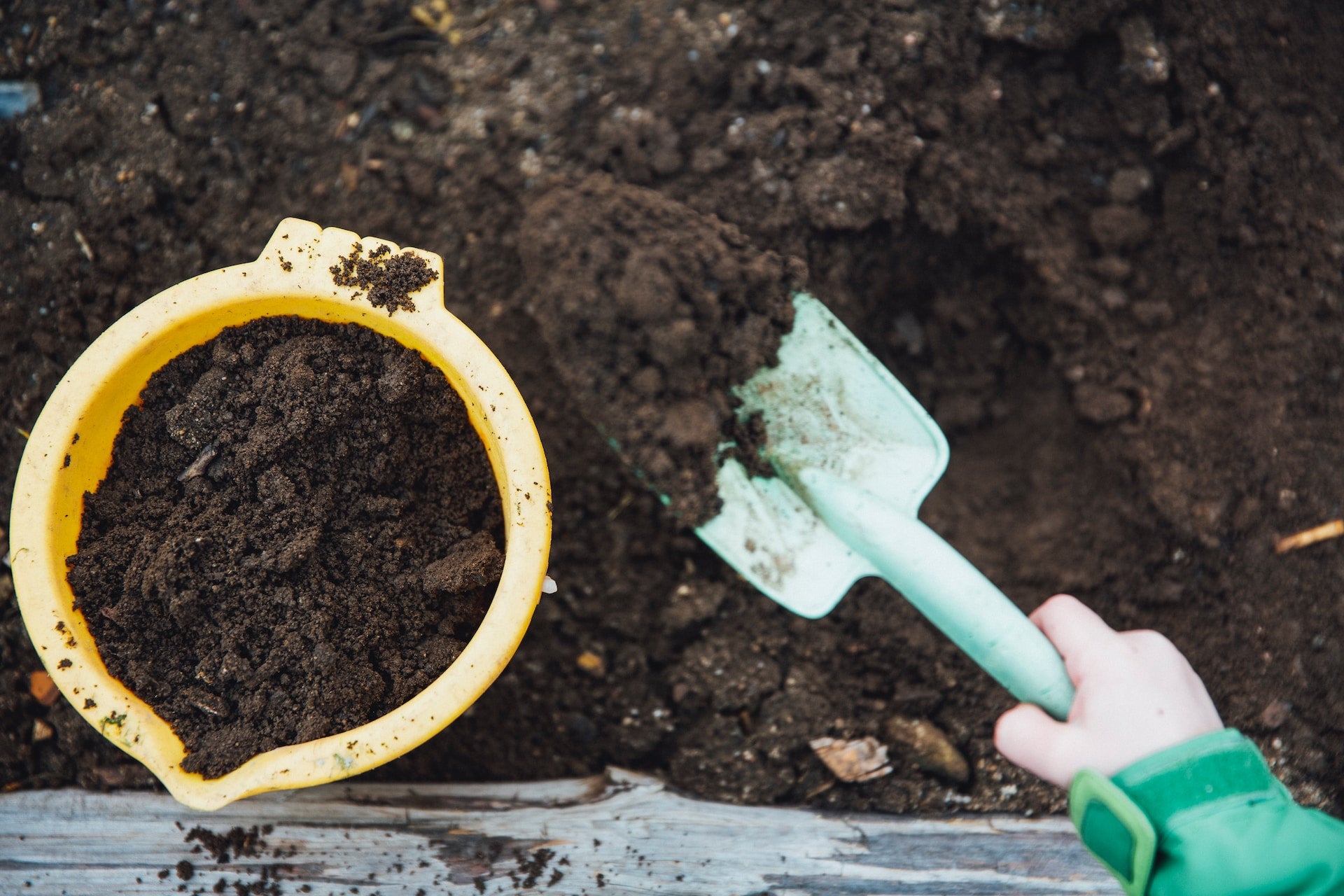 A Guide to Composting: Turn Food Waste Into Garden Gold