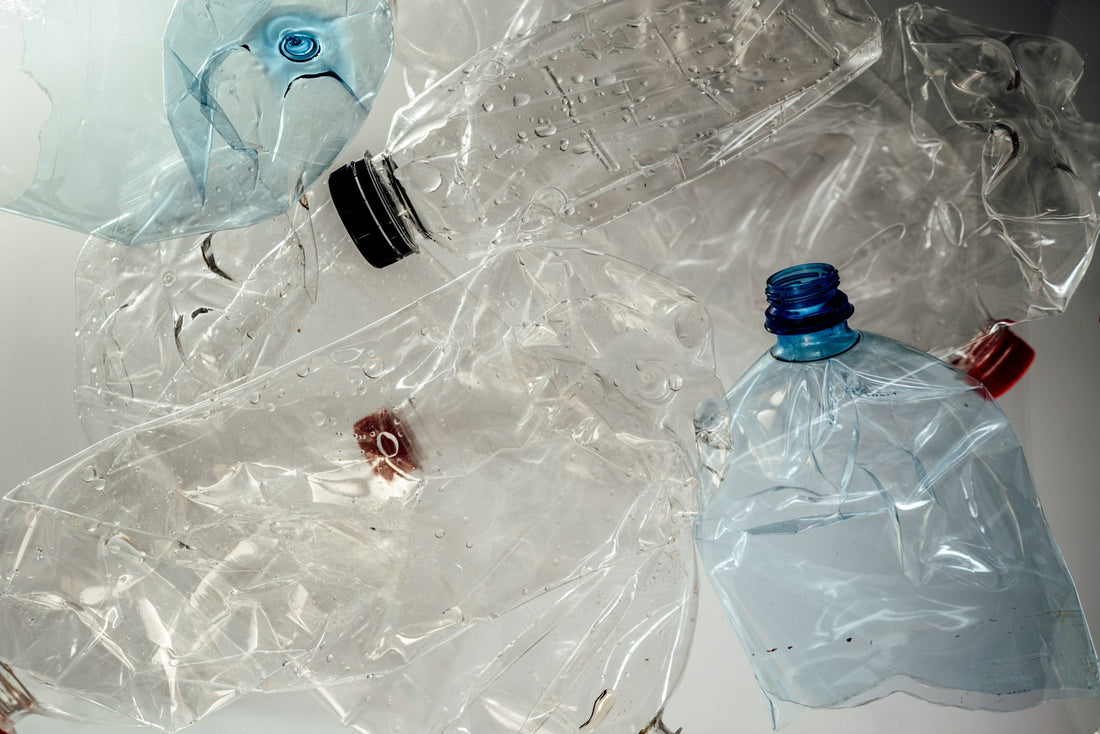 Join Plastic Free July for a Greener Planet