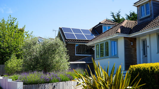 Your Guide to Buying a Sustainable Home