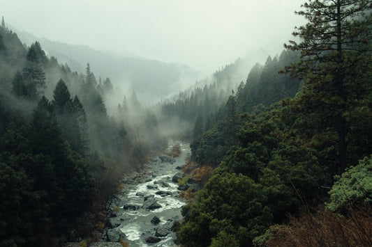Make a Splash: How to Celebrate World Rivers Day