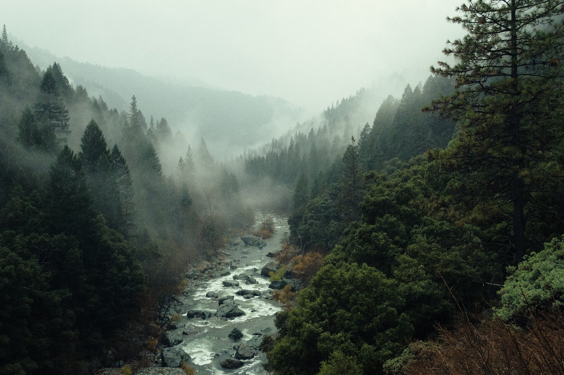 Make a Splash: How to Celebrate World Rivers Day