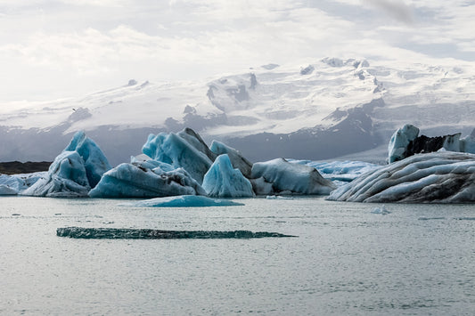 Take Climate Action for a Greener Tomorrow