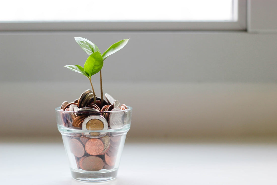 Green-Minded Life Hacks that Will Save You Money