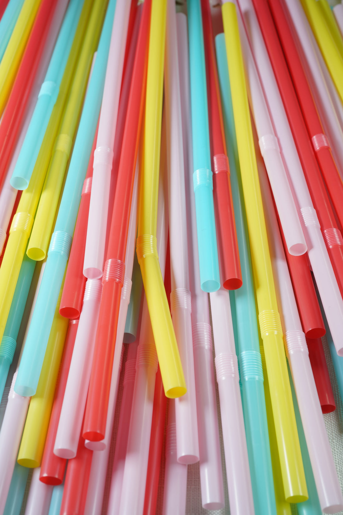 Repeat After Us: Your Guide to Reusable Products