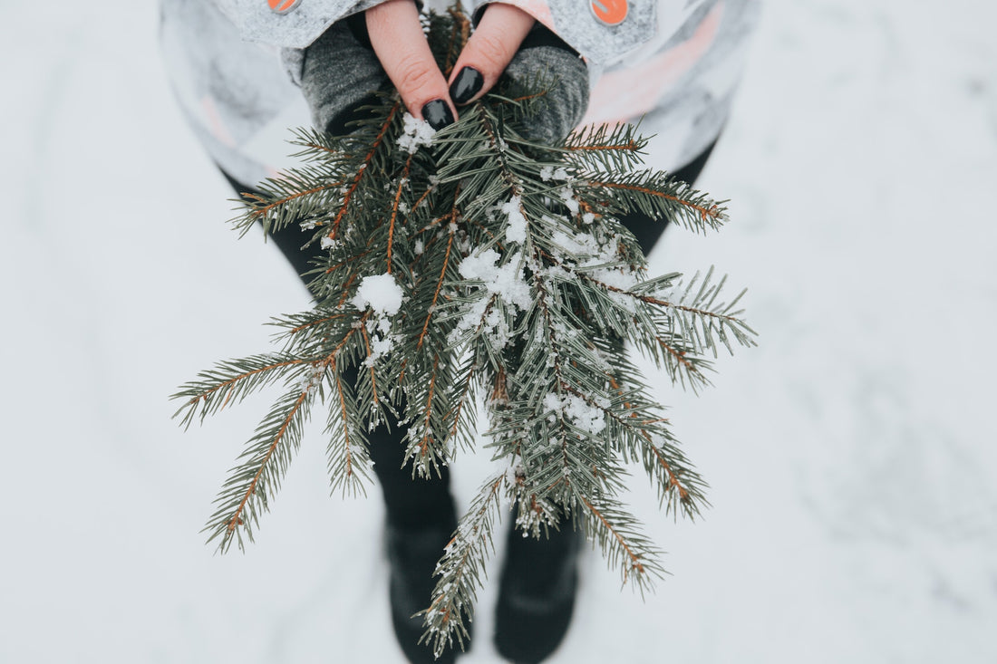 Eco-Alternatives to Greenify Holiday Essentials
