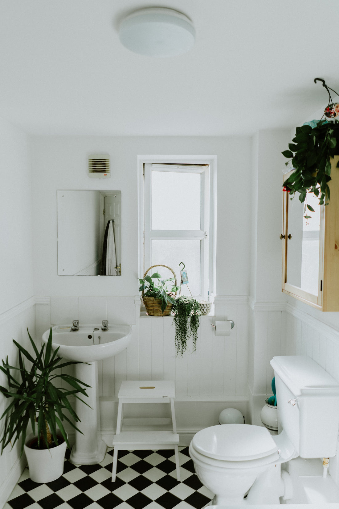 From Toilet to Tub, Go Green in your Bathroom