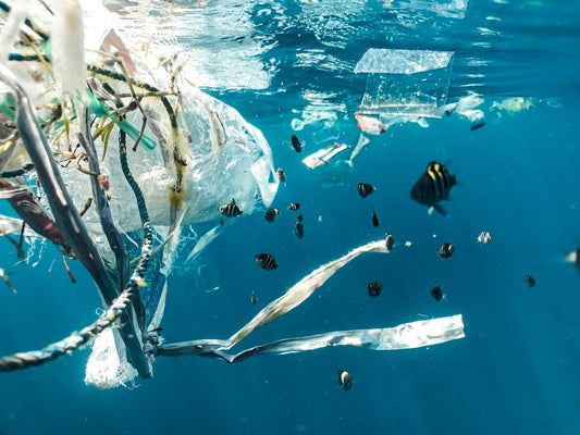 Breaking Down the Plastic Pollution Crisis
