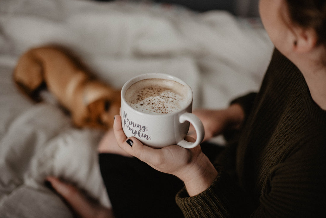 Your Sustainable Guide to Cozy Winter Living