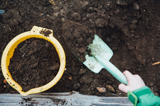 Winter Composting 101: A Guide to Garden Growth