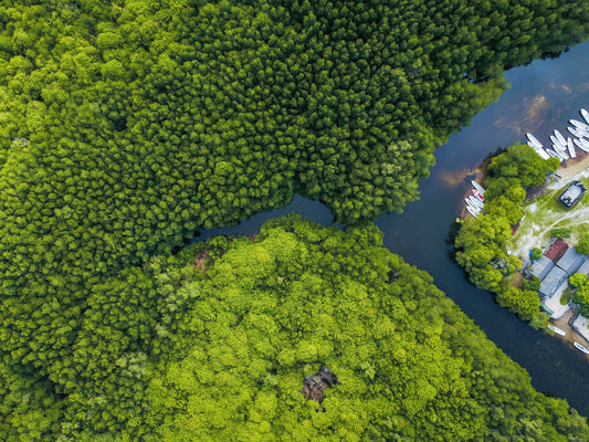 What You Need to Know About World Wetlands Day